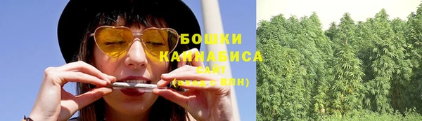первитин Заводоуковск