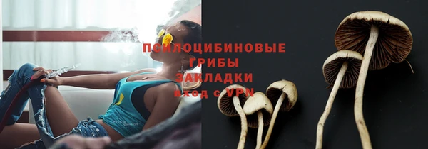 круглые Заволжск