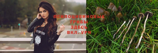 круглые Заволжск