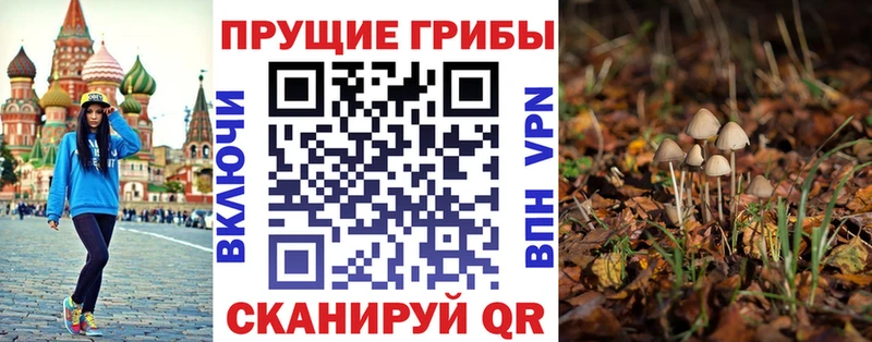 Купить где  Красный Кут  Галлюциногенные грибы MAGIC MUSHROOMS 